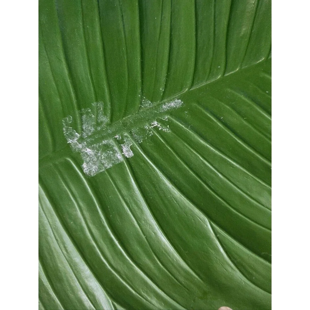 Pier 1 Monstera Leaf Placemat Set Of 8 17x16 Tropical Patio Hollywood Regency